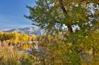 USA, Washington State. Autumn colors along the Methow River near Winthrop Art Print